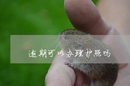逾期可以办理护照吗 逾期可以办理护照吗