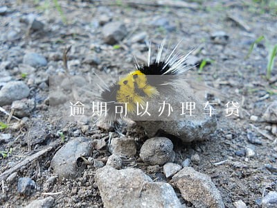 逾期可以办理车贷 逾期可以办理车贷
