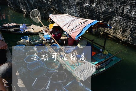 逾期可以协商