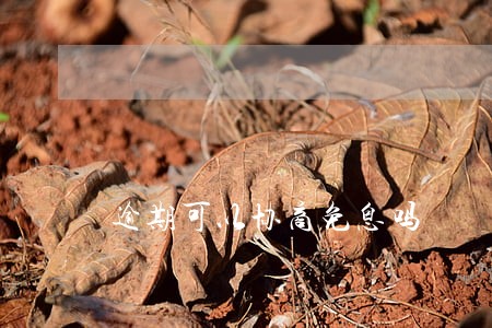逾期可以协商免息吗 逾期可以协商免息吗