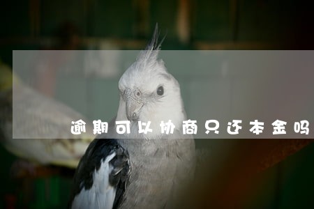 逾期可以协商只还本金吗 逾期可以协商只还本金吗