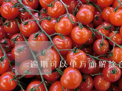 逾期可以单方面解除合同吗 逾期可以单方面解除合同吗
