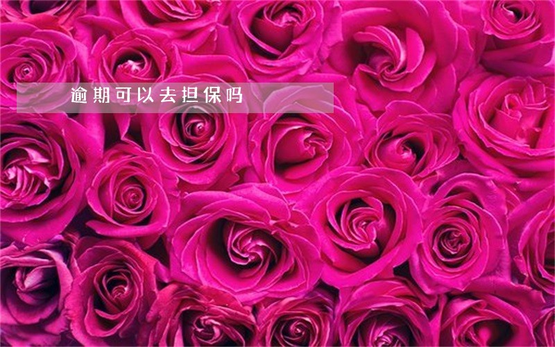 逾期可以去担保吗 逾期可以去担保吗