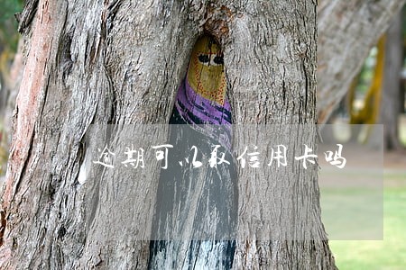 逾期可以取信用卡吗 逾期可以取信用卡吗