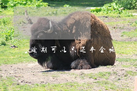 逾期可以只还本金嘛 逾期可以只还本金嘛