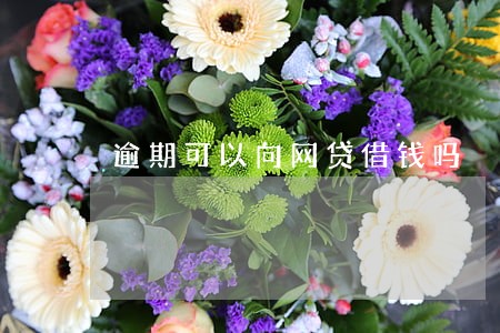 逾期可以向网贷借钱吗 逾期可以向网贷借钱吗