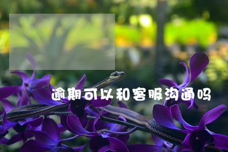 逾期可以和客服沟通吗 逾期可以和客服沟通吗