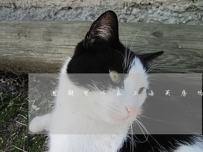 逾期可以在上海买房吗 逾期可以在上海买房吗