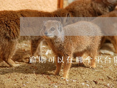 逾期可以在哪个平台借款 逾期可以在哪个平台借款