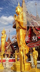 逾期可以在征信上查看 逾期可以在征信上查看