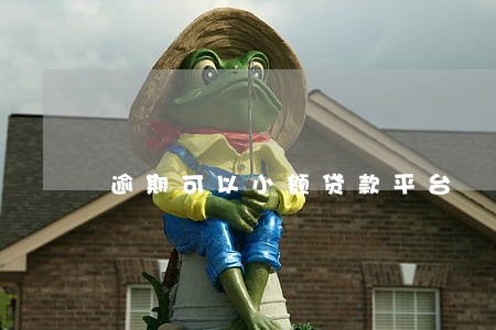 逾期可以小额贷款平台 逾期可以小额贷款平台