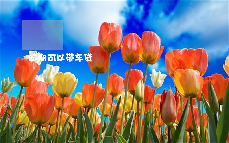 逾期可以带车贷 逾期可以带车贷