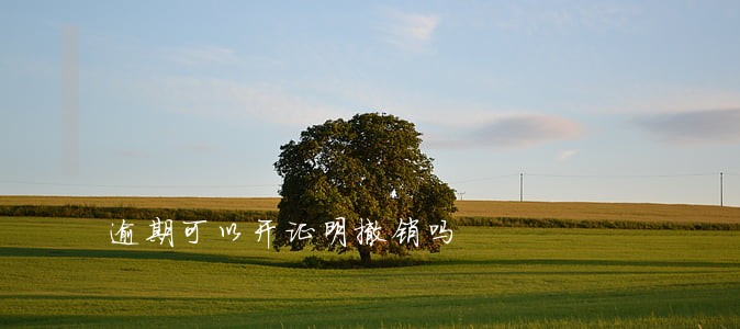 逾期可以开证明撤销吗