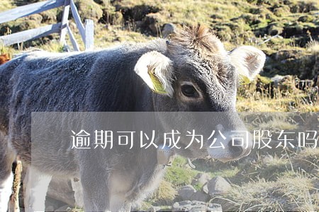 逾期可以成为公司股东吗 逾期可以成为公司股东吗