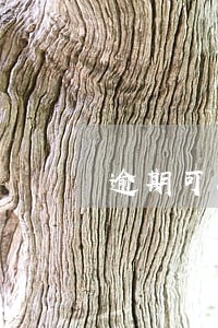 逾期可以房子抵押贷款吗 逾期可以房子抵押贷款吗