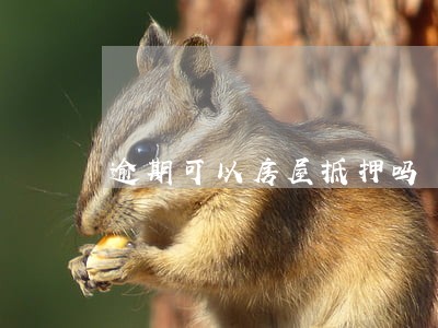 逾期可以房屋抵押吗 逾期可以房屋抵押吗