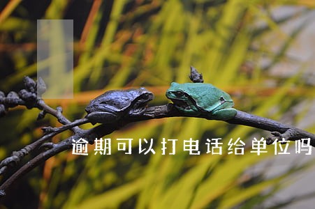 逾期可以打电话给单位吗 逾期可以打电话给单位吗