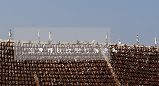 逾期可以找银行解除吗