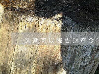 逾期可以报告财产令吗 逾期可以报告财产令吗