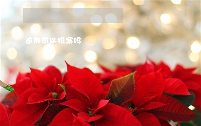 逾期可以报案吗 逾期可以报案吗