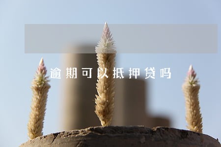 逾期可以抵押贷吗 逾期可以抵押贷吗