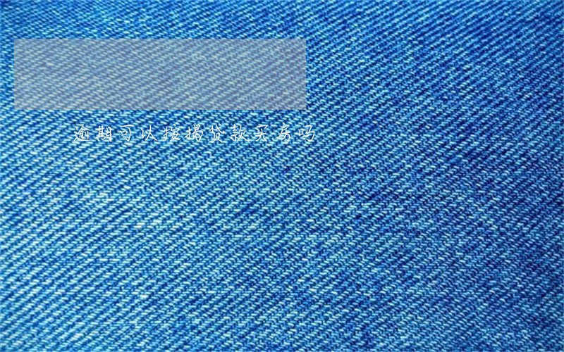 逾期可以按揭贷款买房吗 逾期可以按揭贷款买房吗
