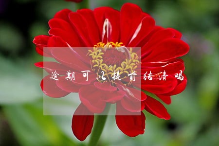 逾期可以提前结清吗 逾期可以提前结清吗