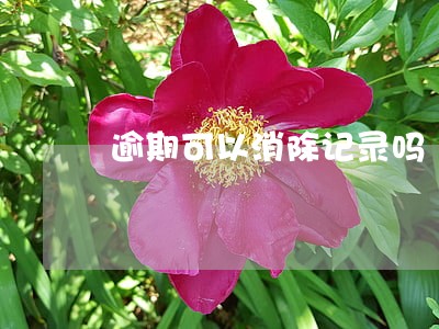 逾期可以消除记录吗 逾期可以消除记录吗