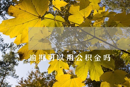 逾期可以用公积金吗 逾期可以用公积金吗