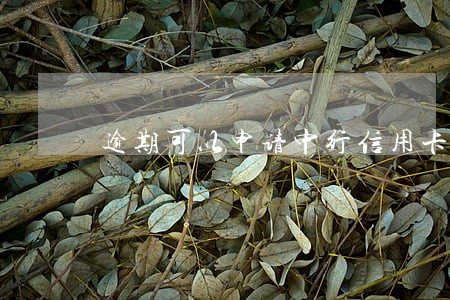逾期可以申请中行信用卡不 逾期可以申请中行信用卡不