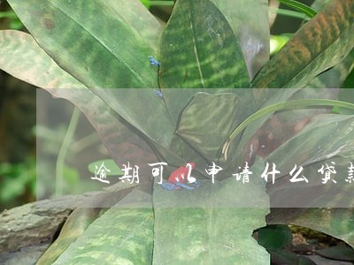 逾期可以申请什么贷款 逾期可以申请什么贷款