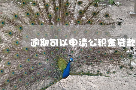 逾期可以申请公积金贷款 逾期可以申请公积金贷款