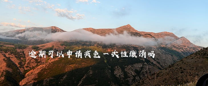 逾期可以申请减免一次性缴清吗 逾期可以申请减免一次性缴清吗