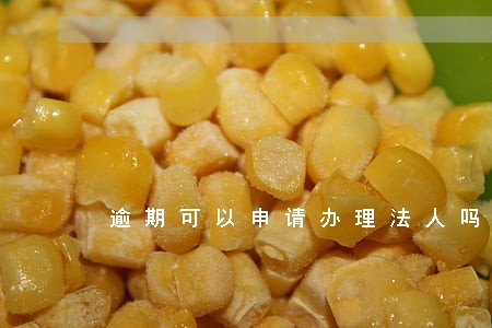 逾期可以申请办理法人吗 逾期可以申请办理法人吗