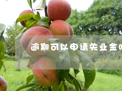 逾期可以申请失业金吗 逾期可以申请失业金吗