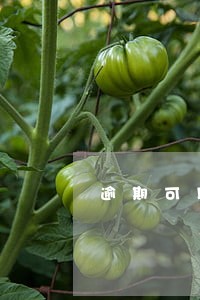 逾期可以申请的信用卡 逾期可以申请的信用卡