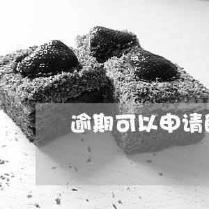 逾期可以申请的贷款 逾期可以申请的贷款