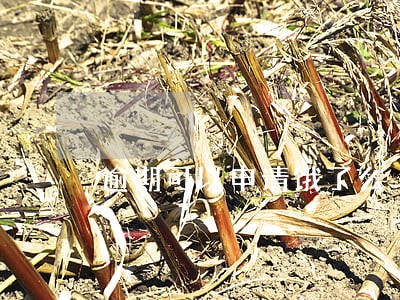 逾期可以申请饿了么