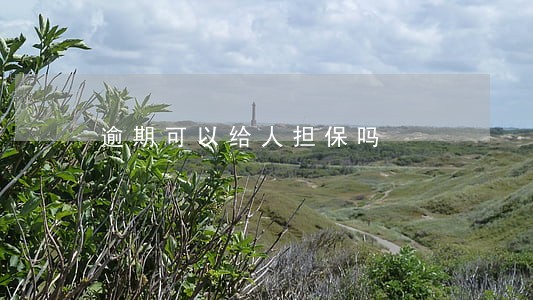 逾期可以给人担保吗 逾期可以给人担保吗