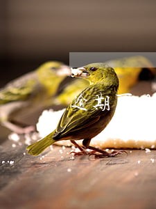 逾期可以网贷的口子大全