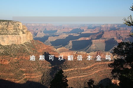 逾期可以翻倍本金吗 逾期可以翻倍本金吗