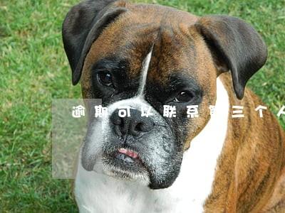逾期可以联系第三个人吗 逾期可以联系第三个人吗