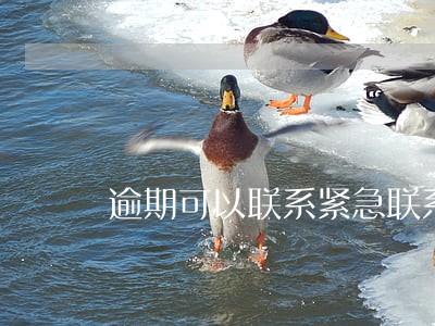 逾期可以联系紧急联系人吗 逾期可以联系紧急联系人吗
