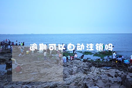 逾期可以自动注销吗 逾期可以自动注销吗