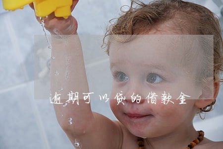 逾期可以贷的借款金 逾期可以贷的借款金