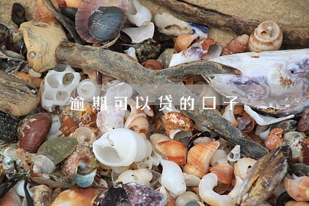 逾期可以贷的口子 逾期可以贷的口子