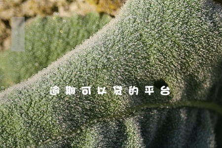 逾期可以贷的平台 逾期可以贷的平台