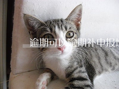 逾期可以逾期补申报增值税吗 逾期可以逾期补申报增值税吗