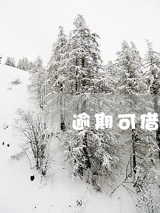 逾期可借4000的网贷 逾期可借4000的网贷