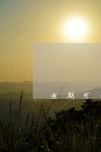 逾期可否协商减免 逾期可否协商减免